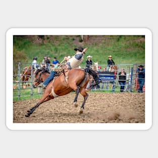 RODEOS, HORSES, COWBOYS Sticker